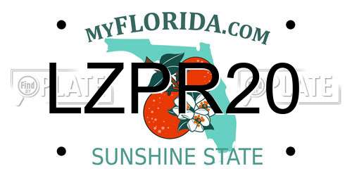 LZPR20 Florida License Plate