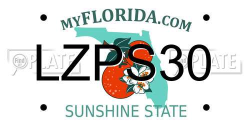 LZPS30 Florida License Plate
