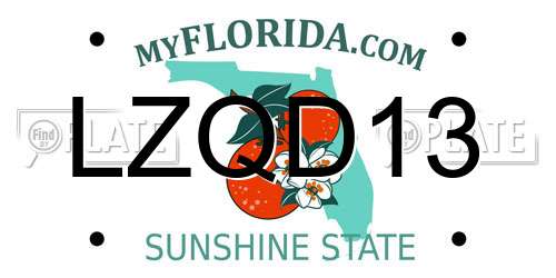 LZQD13 Florida License Plate
