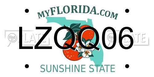 LZQQ06 Florida License Plate