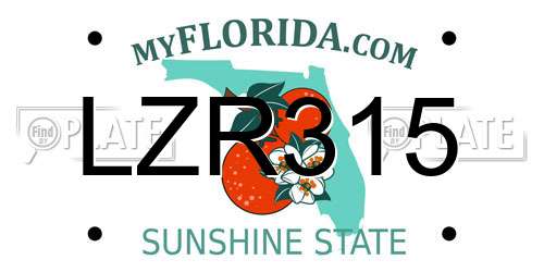 LZR315 Florida License Plate