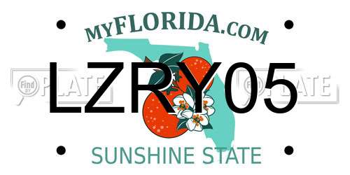 LZRY05 Florida License Plate