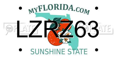 LZRZ63 Florida License Plate