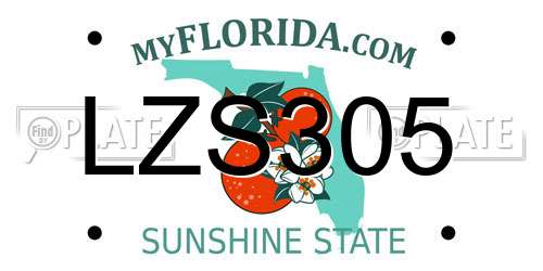 LZS305 Florida License Plate