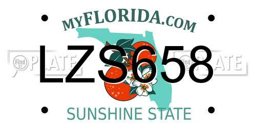 LZS658 Florida License Plate