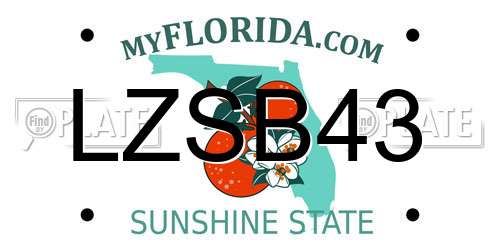 LZSB43 Florida License Plate
