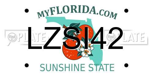 LZSI42 Florida License Plate
