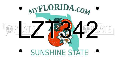LZT342 Florida License Plate
