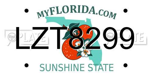 LZT8299 Florida License Plate