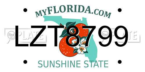 LZT8799 Florida License Plate