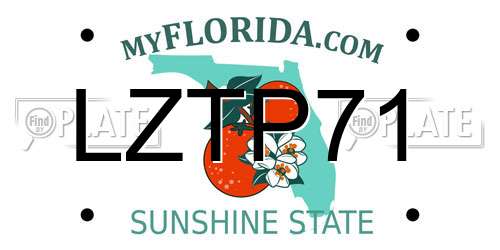 LZTP71 Florida License Plate