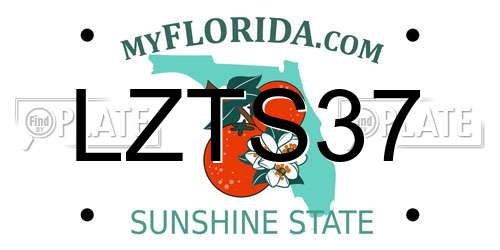 LZTS37 Florida License Plate