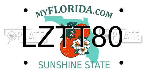 LZTT80 Florida License Plate