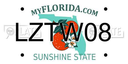 LZTW08 Florida License Plate