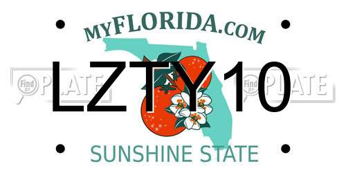LZTY10 Florida License Plate