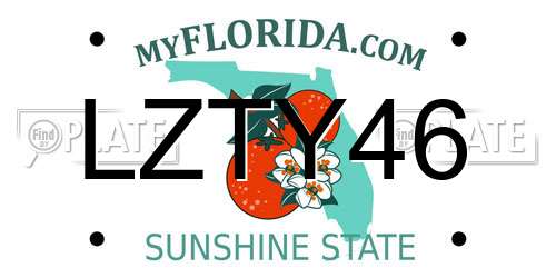 LZTY46 Florida License Plate