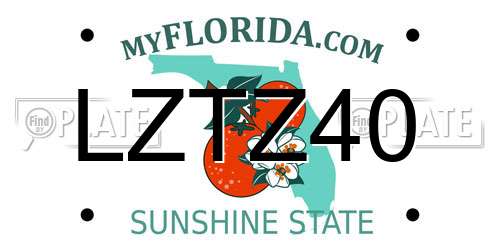 LZTZ40 Florida License Plate