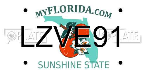 LZVE91 Florida License Plate