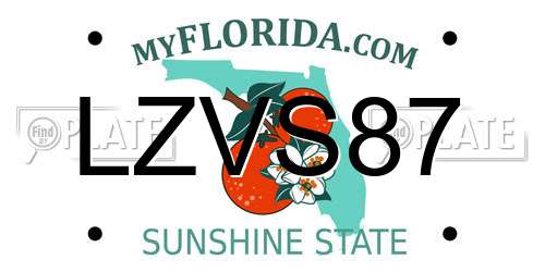 LZVS87 Florida License Plate