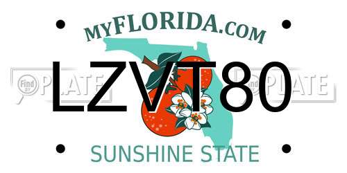 LZVT80 Florida License Plate