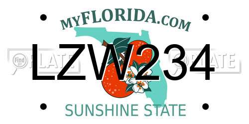 LZW234 Florida License Plate