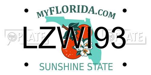 LZWI93 Florida License Plate