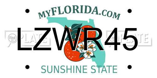 LZWR45 Florida License Plate