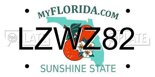 LZWZ82 Florida License Plate