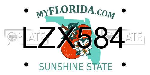 LZX584 Florida License Plate