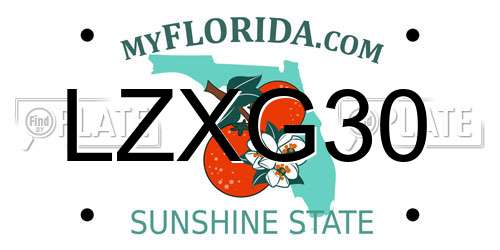 LZXG30 Florida License Plate