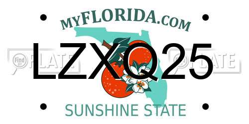 LZXQ25 Florida License Plate
