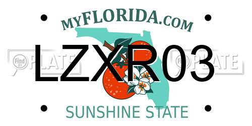 LZXR03 Florida License Plate
