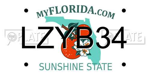 LZYB34 Florida License Plate