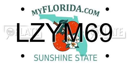LZYM69 Florida License Plate
