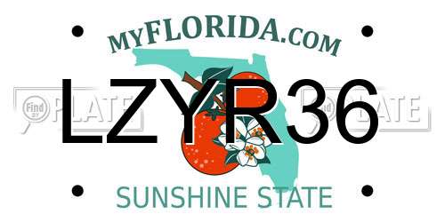 LZYR36 Florida License Plate