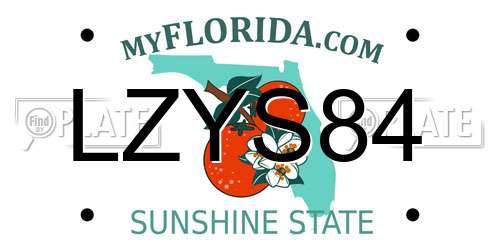 LZYS84 Florida License Plate