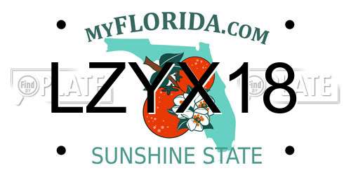 LZYX18 Florida License Plate