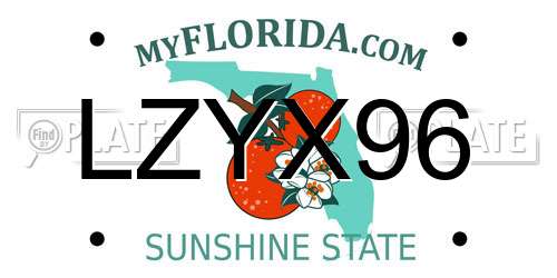 LZYX96 Florida License Plate