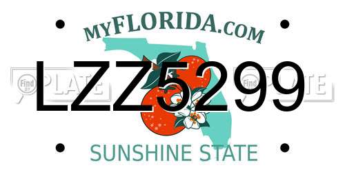 LZZ5299 Florida License Plate
