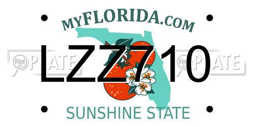 LZZ710 Florida License Plate
