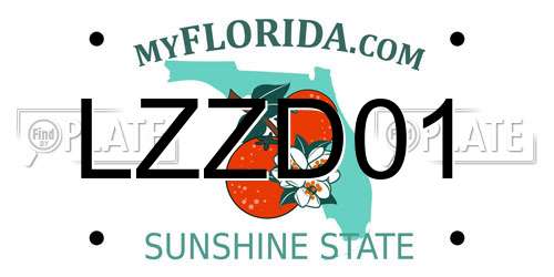 LZZD01 Florida License Plate