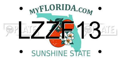 LZZF13 Florida License Plate