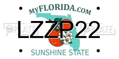 LZZP22 Florida License Plate