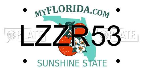 LZZR53 Florida License Plate
