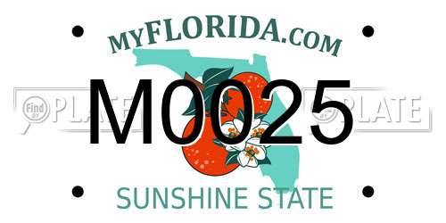 M0025 Florida License Plate