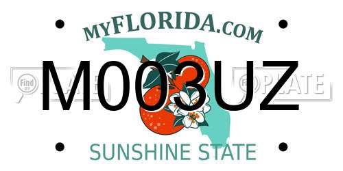 M003UZ Florida License Plate