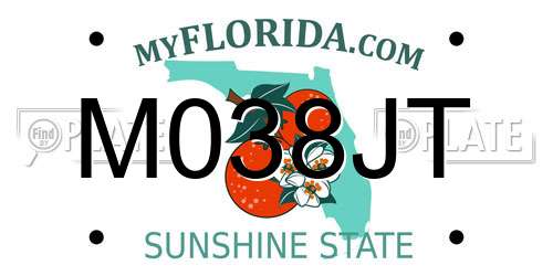 M038JT Florida License Plate