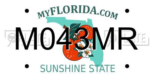 M043MR Florida License Plate