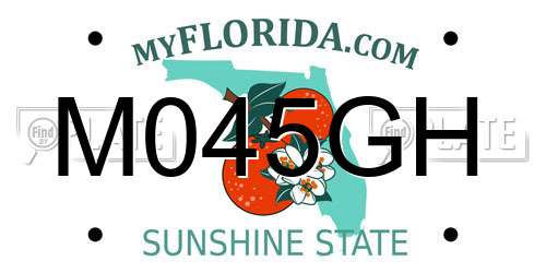 M045GH Florida License Plate