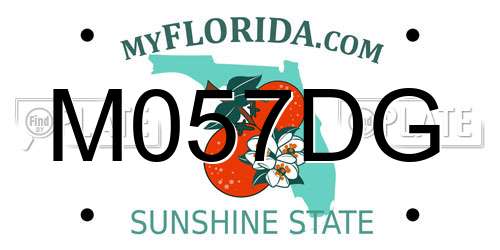 M057DG Florida License Plate
